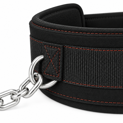 MotionBar weighted dip belt reinforced ring and chain detail